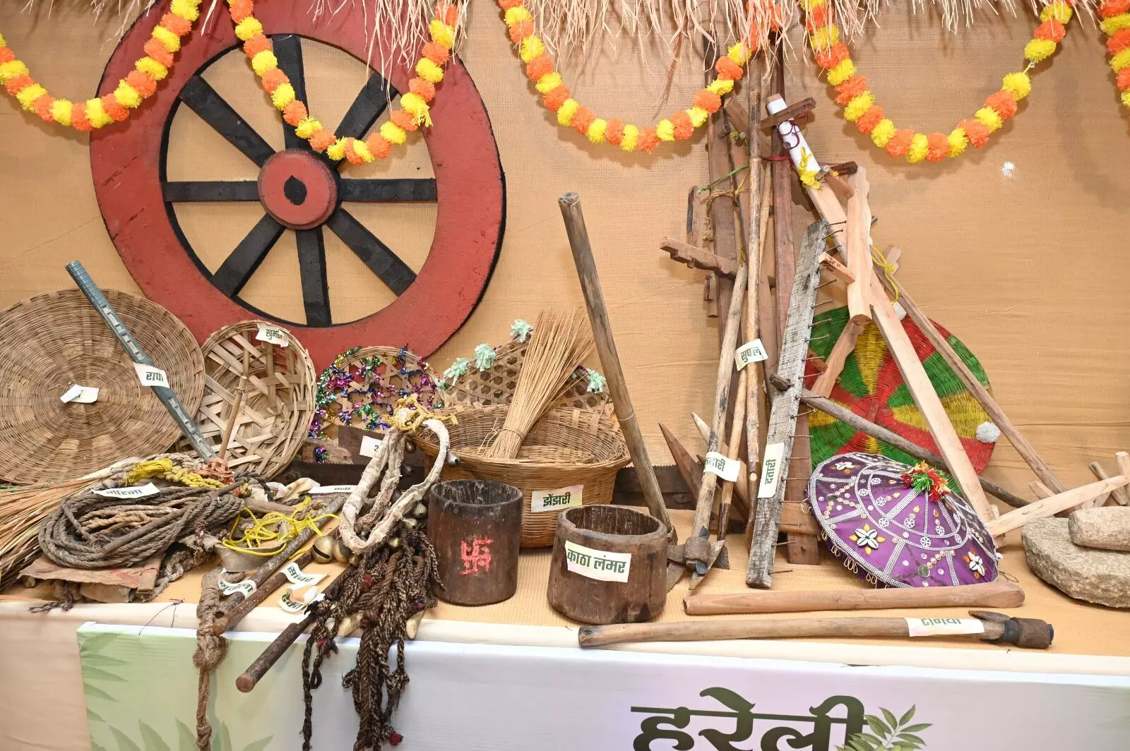 35395-- Hareli Tihar : छत्तीसगढ़ का पहला त्यौहार हरेली : गाय-बैलों की पूजा, गेड़ी, पारंपरिक पकवान और रहचुली झूला बिन अधूरा है ये पर्व