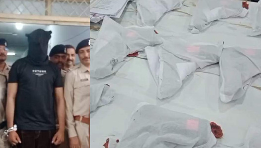 MP Crime : MP-महाराष्ट्र बॉर्डर पर पुलिस की कार्रवाई, 13 देशी पिस्टल और 45 कारतूस के साथ तस्कर गिरफ्तार