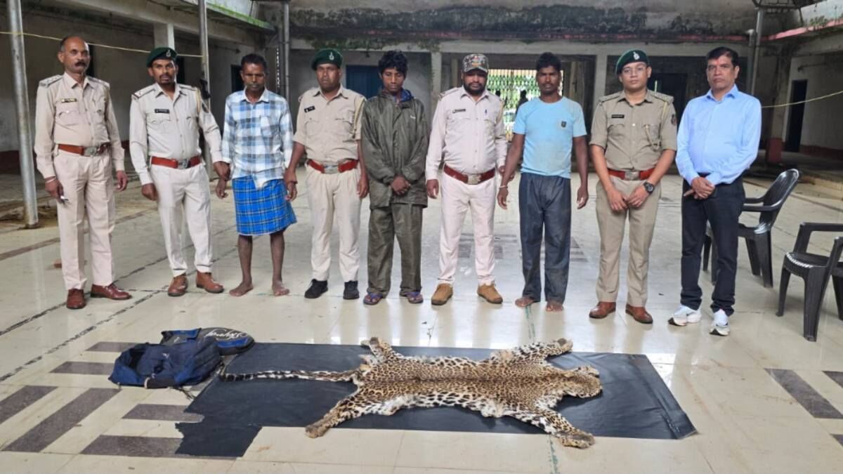 CG News : तेंदुए की खाल तस्करी की कोशिश नाकाम, 3 आरोपी गिरफ्तार, दो बाइक जब्त