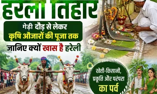 Chhattisgarh Hareli Tihar : गेड़ी दौड़ से लेकर कृषि औजारों की पूजा तक, जानिए क्यों खास है हरेली Chhattisgarh Hareli Tihar : गेड़ी दौड़ से लेकर कृषि औजारों की पूजा तक, जानिए क्यों खास है हरेली