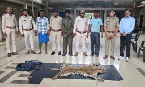 CG News : तेंदुए की खाल तस्करी की कोशिश नाकाम, 3 आरोपी गिरफ्तार, दो बाइक जब्त