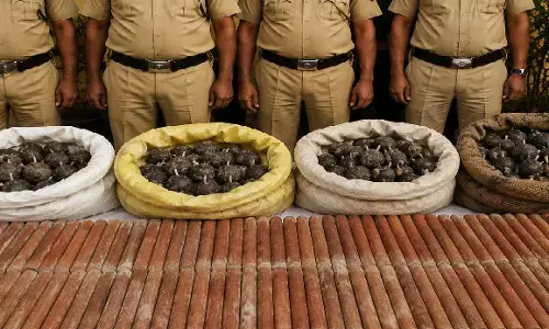 West Bengal : 15 अगस्त से पहले पुलिस की बड़ी कार्रवाई, 304 जिलेटिन छड़ें और देसी बम बरामद West Bengal : 15 अगस्त से पहले पुलिस की बड़ी कार्रवाई, 304 जिलेटिन छड़ें और देसी बम बरामद
