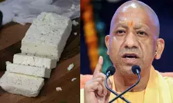 UP News : योगी सरकार का बड़ा फैसला, एनालॉग पनीर समेत क्रीम, घी पर लगा बैन