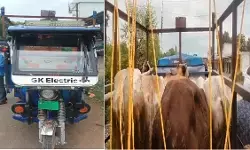 CG News : ई-रिक्शा में ठूंसकर ले जा रहे थे 5 मवेशी, दो गिरफ्तार CG News : ई-रिक्शा में ठूंसकर ले जा रहे थे 5 मवेशी, दो गिरफ्तार