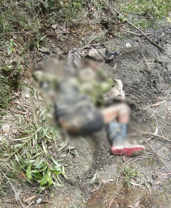CG News : भैंस चराने गए ग्रामीण को हाथी ने उतारा मौत के घाट, वन विभाग ने किया अलर्ट