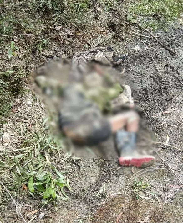 CG News : भैंस चराने गए ग्रामीण को हाथी ने उतारा मौत के घाट, वन विभाग ने किया अलर्ट CG News : भैंस चराने गए ग्रामीण को हाथी ने उतारा मौत के घाट, वन विभाग ने किया अलर्ट