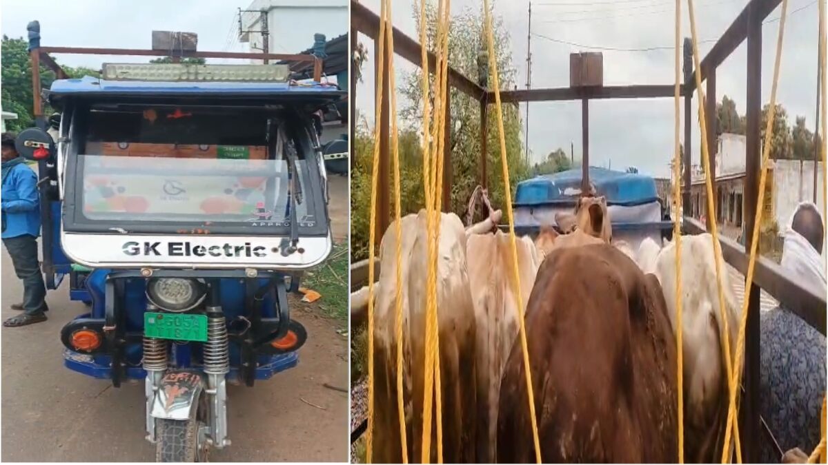 CG News : ई-रिक्शा में ठूंसकर ले जा रहे थे 5 मवेशी, दो गिरफ्तार