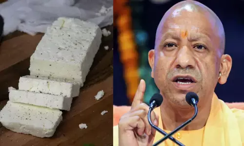 UP News : योगी सरकार का बड़ा फैसला, एनालॉग पनीर समेत क्रीम, घी पर लगा बैन
