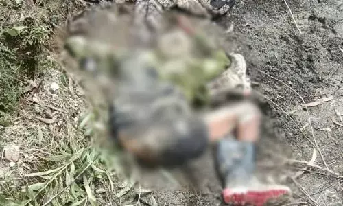 CG News : भैंस चराने गए ग्रामीण को हाथी ने उतारा मौत के घाट, वन विभाग ने किया अलर्ट