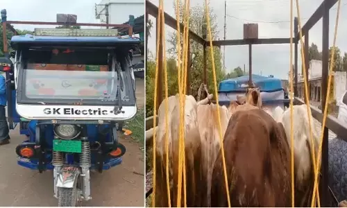 CG News : ई-रिक्शा में ठूंसकर ले जा रहे थे 5 मवेशी, दो गिरफ्तार