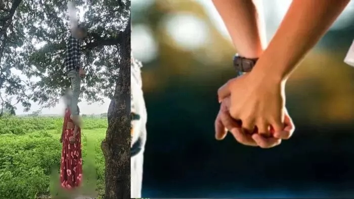 Raipur City News : पेड़ से लटके मिले प्रेमी जोड़े के शव, पुलिस और FSL टीम ने शुरू की जांच Raipur City News : पेड़ से लटके मिले प्रेमी जोड़े के शव, पुलिस और FSL टीम ने शुरू की जांच