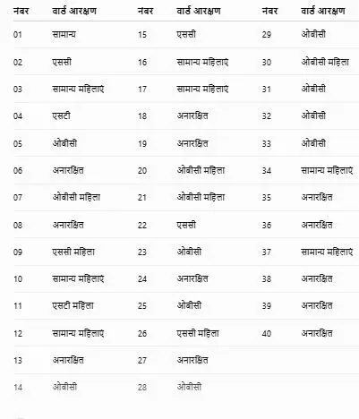 36180-22 Birgaon Municipal Corporation Ward Reservation: बीरगांव नगर निगम में वार्डों का आरक्षण पूरा,40 में से 14 वार्ड महिलाओं और 7 एससी-एसटी के लिए आरक्षित, यहां देखें आरक्षित वार्डों की सूची