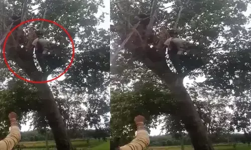 CG News : पेड़ की डाल काटते वक्त 33KV तार की चपेट में आया ग्रामीण, मौके पर मौत, तीन बेटियों ने खोया पिता CG News : पेड़ की डाल काटते वक्त 33KV तार की चपेट में आया ग्रामीण, मौके पर मौत, तीन बेटियों ने खोया पिता