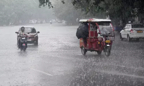 CG Weather : छत्तीसगढ़ में फिर सक्रिय हुआ मानसून, अगले 7 दिन बारिश के आसार, 9 जिलों में यलो अलर्ट