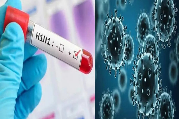 CG News : दुर्ग में स्वाइन फ्लू की दस्तक, 2 साल की बच्ची H1N1 पॉजिटिव, स्वास्थ्य विभाग अलर्ट