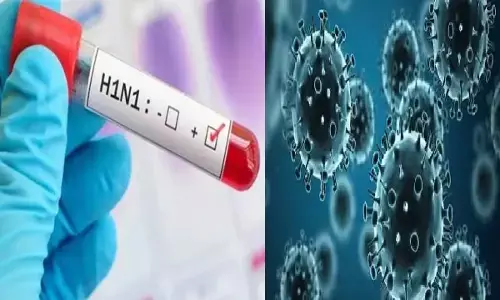 CG News : दुर्ग में स्वाइन फ्लू की दस्तक, 2 साल की बच्ची H1N1 पॉजिटिव, स्वास्थ्य विभाग अलर्ट