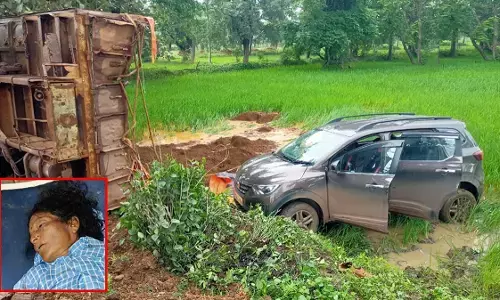 CG News : ओवरटेक के चक्कर में बेकाबू हुआ ट्रक, खेत में मवेशी निकाल रही महिला की मौत, 2 कार सवार घायल