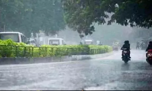 CG Weather : छत्तीसगढ़ में मानसून एक्टिव, अगले 48 घंटे बारिश का जोर, कई जिलों में अलर्ट