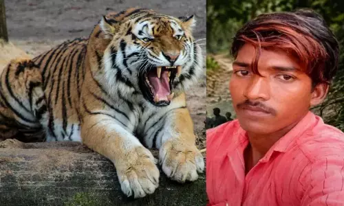 CG News : करिल लेने जंगल गया था युवक, शेरनी के हमले में गई जान, वन विभाग हुआ अलर्ट CG News : करिल लेने जंगल गया था युवक, शेरनी के हमले में गई जान, वन विभाग हुआ अलर्ट