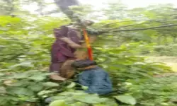 CG News : प्रेमी जोड़े की मौत से फैली सनसनी, जंगल में पेड़ से लटके मिले दोनों के शव