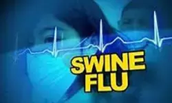 CG News : खैरागढ़ में H1N1 की दस्तक, 4 साल का बच्चा पॉजिटिव, घर-घर सर्वे शुरू