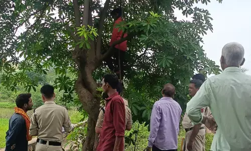 CG News : स्कूल के सामने पेड़ पर फंदे से लटका मिला युवक का शव, इलाके में फैली सनसनी