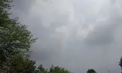 CG Weather : छत्तीसगढ़ में 5 दिन बारिश का दौर, कई जिलों में भारी बारिश और वज्रपात का अलर्ट