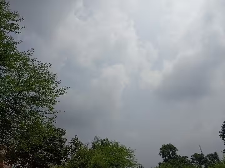 CG Weather : छत्तीसगढ़ में 5 दिन बारिश का दौर, कई जिलों में भारी बारिश और वज्रपात का अलर्ट