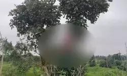 CG News : घर के पास पेड़ पर फंदे से लटका मिला महिला का शव, पुलिस जांच में जुटी