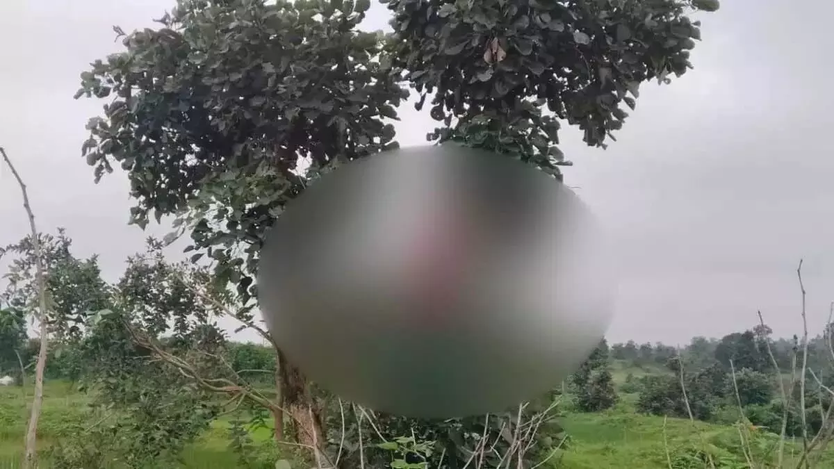 CG News : घर के पास पेड़ पर फंदे से लटका मिला महिला का शव, पुलिस जांच में जुटी CG News : घर के पास पेड़ पर फंदे से लटका मिला महिला का शव, पुलिस जांच में जुटी