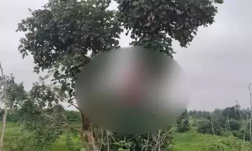 CG News : घर के पास पेड़ पर फंदे से लटका मिला महिला का शव, पुलिस जांच में जुटी