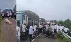 MP News : तेज रफ्तार ट्रक ने गोवंशों को मारी टक्कर, 5 की मौत, गुस्साए ग्रामीणों ने हाईवे किया जाम