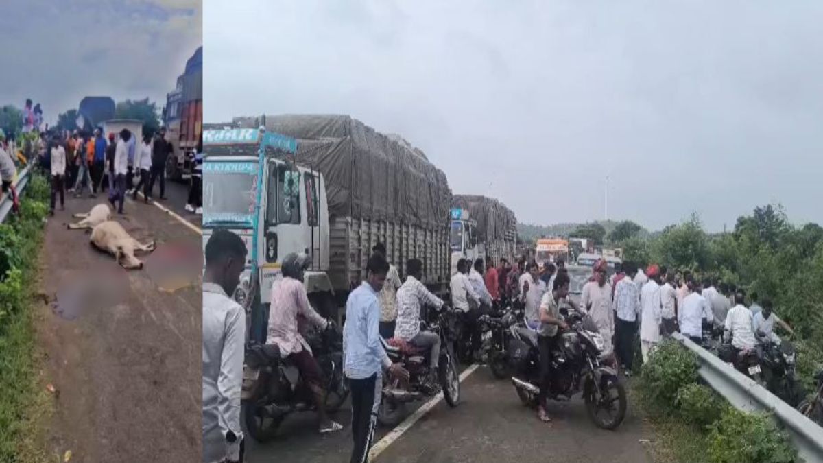 MP News : तेज रफ्तार ट्रक ने गोवंशों को मारी टक्कर, 5 की मौत, गुस्साए ग्रामीणों ने हाईवे किया जाम