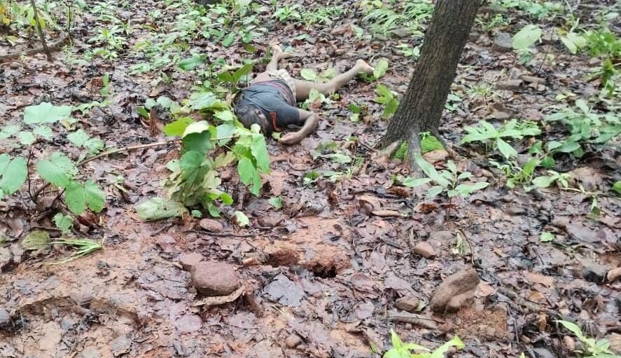 CG News : हाथी के हमले में ग्रामीण की दर्दनाक मौत, जंगल में मिला शव, गांव में पसरा मातम
