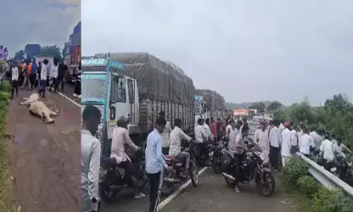 MP News : तेज रफ्तार ट्रक ने गोवंशों को मारी टक्कर, 5 की मौत, गुस्साए ग्रामीणों ने हाईवे किया जाम