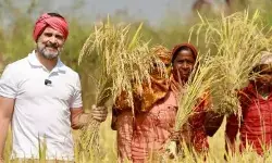Rahul Gandhi Bastar visit: बस्तर आ रहे हैं राहुल गांधी, जानें क्या है कांग्रेस का प्लान, क्यों गरमा गई है छत्तीसगढ़ की सियासत