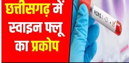Chhattisgarh Swine Flu: छत्तीसगढ़ में बढ़ रहा H1N1 का संक्रमण, 10 नए मरीज मिले; रायपुर में एक्टिव केस बढ़कर 9 Chhattisgarh Swine Flu: छत्तीसगढ़ में बढ़ रहा H1N1 का संक्रमण, 10 नए मरीज मिले; रायपुर में एक्टिव केस बढ़कर 9