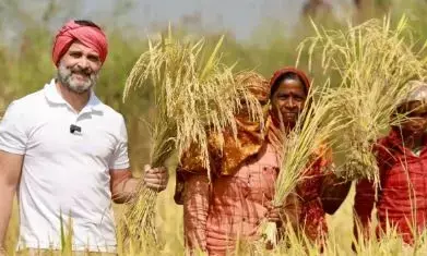 Rahul Gandhi Bastar visit: बस्तर आ रहे हैं राहुल गांधी, जानें क्या है कांग्रेस का प्लान, क्यों गरमा गई है छत्तीसगढ़ की सियासत