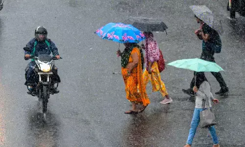 CG Weather : छत्तीसगढ़ में फिर एक्टिव हुआ मानसून, रायपुर में सुबह से बारिश, 5 दिन भारी बारिश के आसार