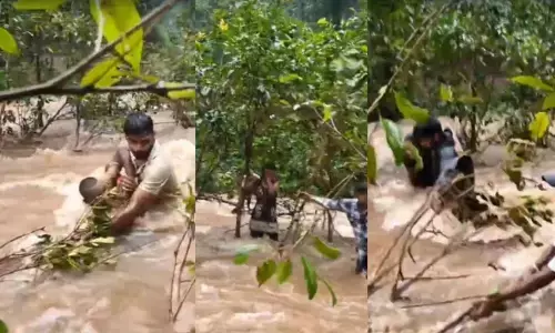 CG News : दनगरी वाटरफॉल में बड़ा हादसा टला, नदी के तेज बहाव में फंसे 7 पर्यटक, घंटों बाद सुरक्षित निकाले गए