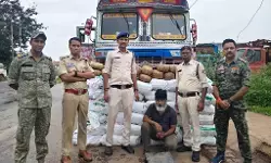 CG Crime : चिल्फी बॉर्डर पर गांजा तस्करी का बड़ा खुलासा, ट्रक के गुप्त चेंबर से 4.47 क्विंटल गांजा बरामद