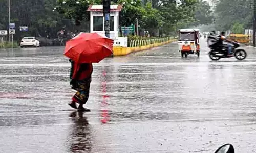 CG Weather : छत्तीसगढ़ में आज 28 जिलों में बारिश का अलर्ट, 29 सेमी तक बरसा पानी, 2 सितंबर से कमजोर होगा मानसून