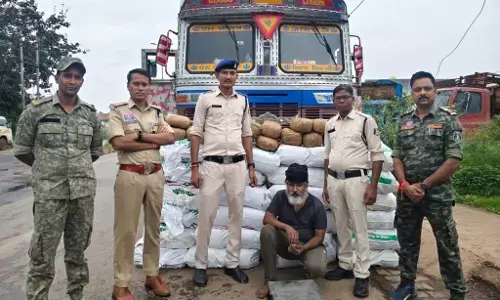 CG Crime : चिल्फी बॉर्डर पर गांजा तस्करी का बड़ा खुलासा, ट्रक के गुप्त चेंबर से 4.47 क्विंटल गांजा बरामद