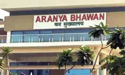 CG Forest Officers Transfer : छत्तीसगढ़ में वन अफसरों के तबादले, 64 सहायक वन संरक्षकों को मिली नई जिम्मेदारी, देखें लिस्ट