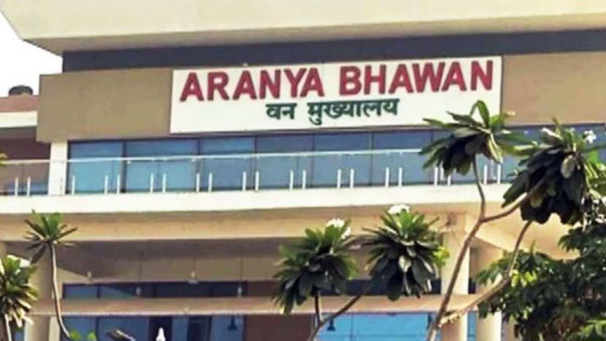 CG Forest Officers Transfer : छत्तीसगढ़ में वन अफसरों के तबादले, 64 सहायक वन संरक्षकों को मिली नई जिम्मेदारी, देखें लिस्ट