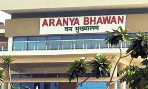 CG Forest Officers Transfer : छत्तीसगढ़ में वन अफसरों के तबादले, 64 सहायक वन संरक्षकों को मिली नई जिम्मेदारी, देखें लिस्ट