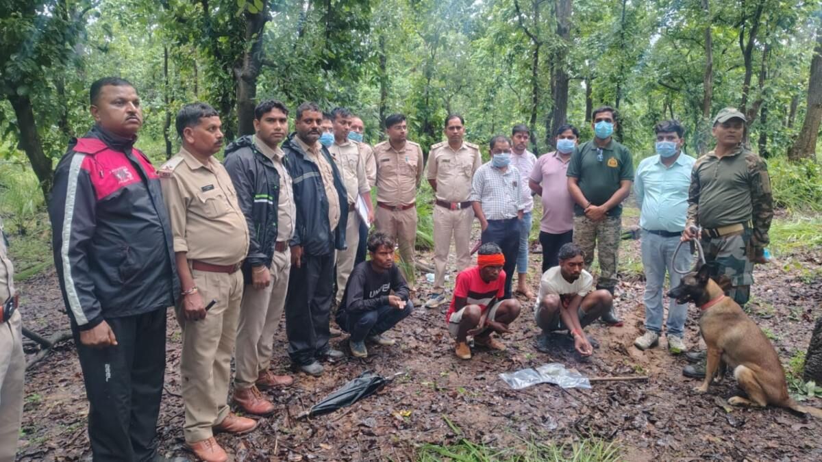 CG Wildlife Crime : मृत भालू के नाखून काटकर ले गए आरोपी, डॉग स्क्वॉड की मदद से दो गिरफ्तार