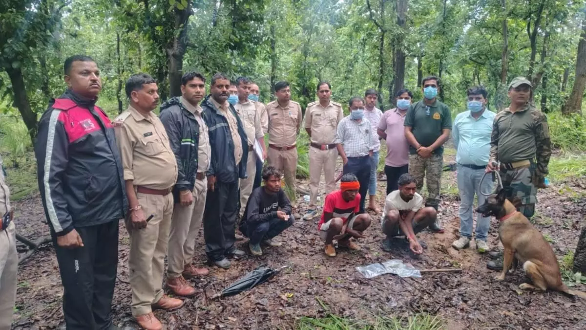 37886-image-2026-09-04t181533005 CG Wildlife Crime : मृत भालू के नाखून काटकर ले गए आरोपी, डॉग स्क्वॉड की मदद से दो गिरफ्तार