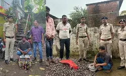 आबकारी विभाग की बड़ी कार्रवाई, कार सहित अवैध मदिरा बरामद, 3 प्रकरण दर्ज