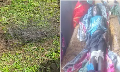 CG Crime : जंगली सूअर के शिकार के लिए बिछाया था करंट वाला तार, चपेट में आने से युवक की मौत, एक गंभीर